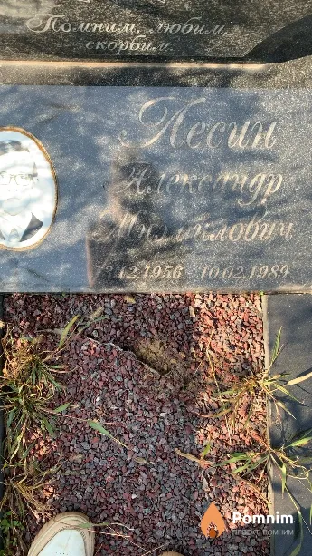 Лесин Александр Михайлович