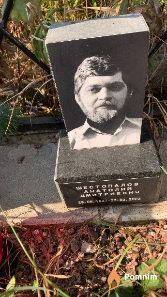 Шестопалов Анатолий Дмитриевич