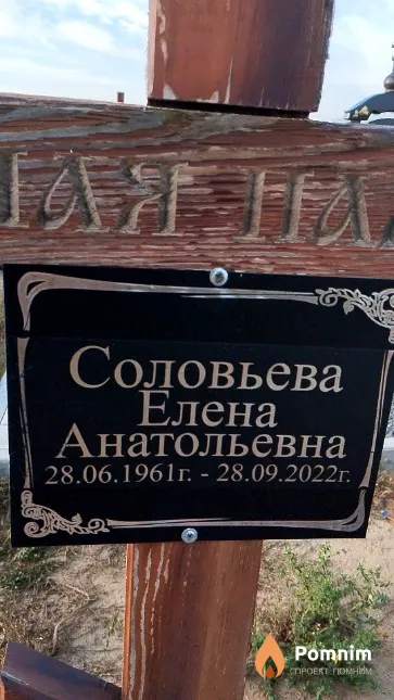 Соловьева Елена Анатольевна