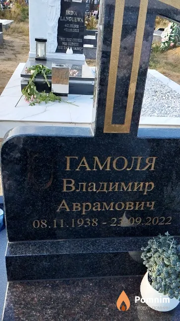 Гамоля Владимир Аврамович