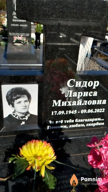 Сидор Лариса Михайловна