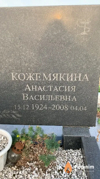 Кожемякина Анастасия Васильевна