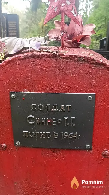 Синнер Т. Г.