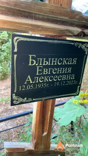 Блынская Евгения Алексеевна