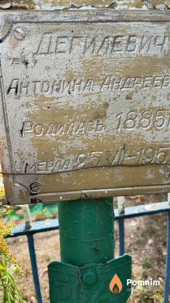 Дегилевич Антонина Андреевна