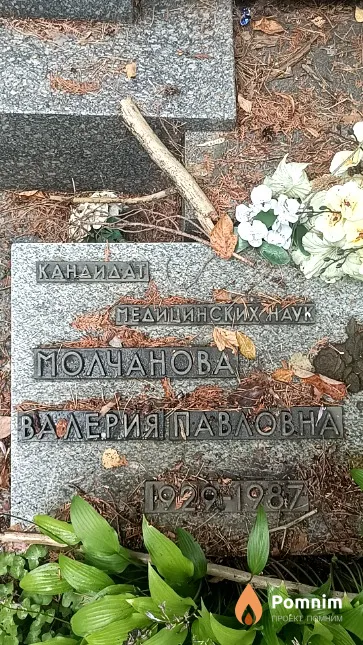 Молчанова Валерия Павловна