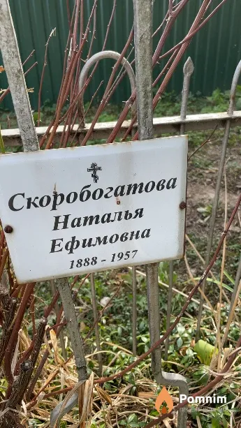 Скоробогатова Наталья Ефимовна