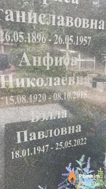 Стрюк Анфиса Николаевна