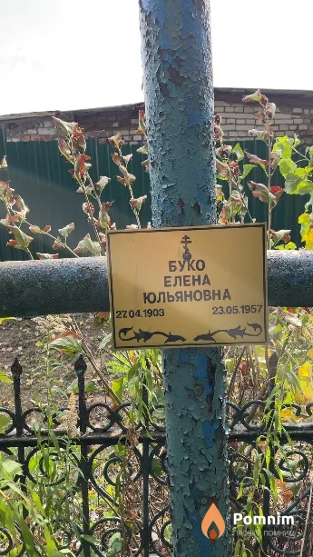 Буко Елена Юльяновна
