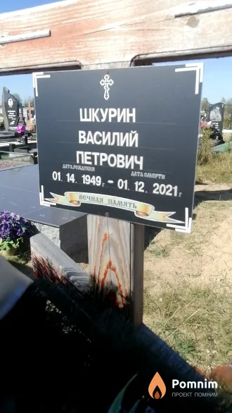 Шкурин Василий Петрович
