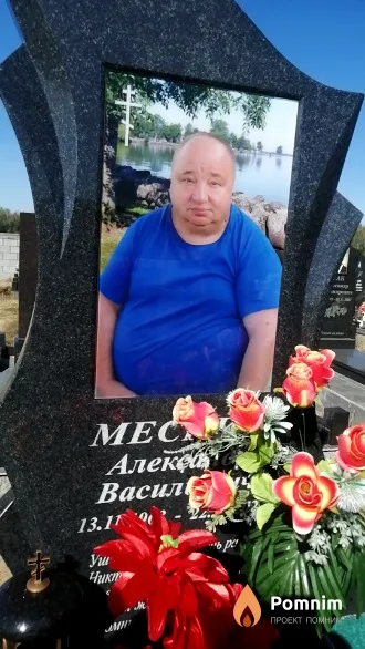 Месник Александр Васильевна