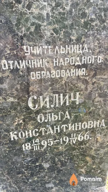 Силич Ольга Константиновна