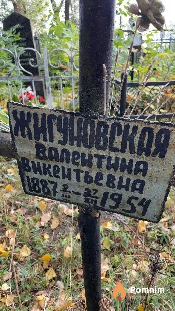 Жигуновская Валентина Викентьевна