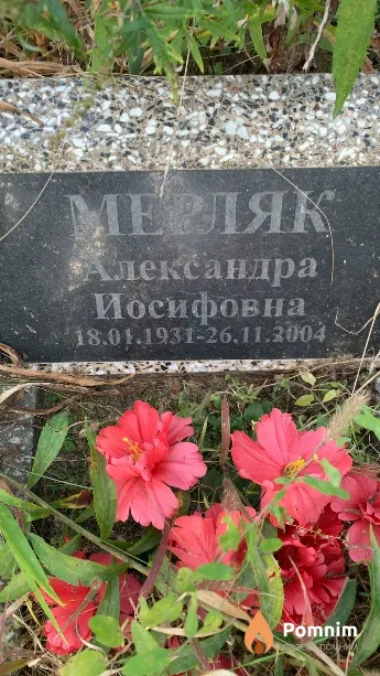 Мерляк Александра Иосифовна