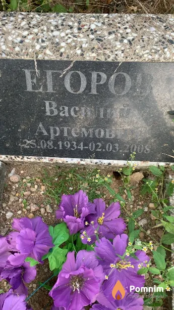 Егоров Василий Артемович