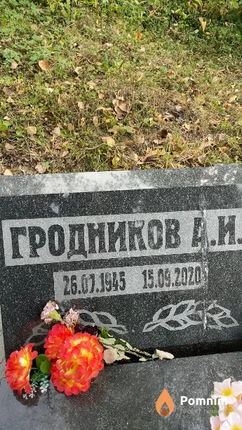 Гродников А И