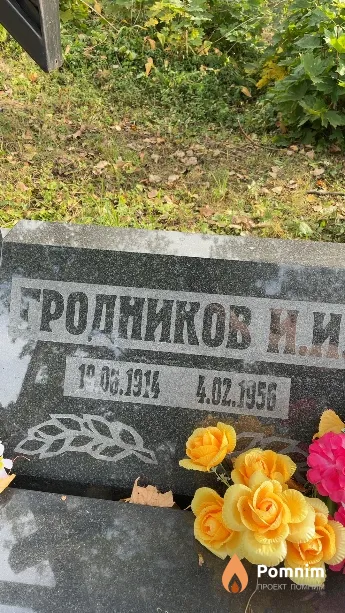 Гродников И И