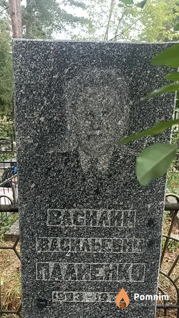 Палиенко Василий Васильевич