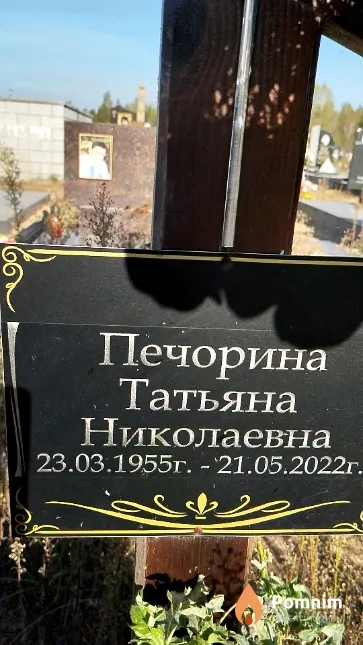 Печорина Татьяна Николаевна