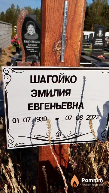 Шагойко Эмилия Евгеньевна