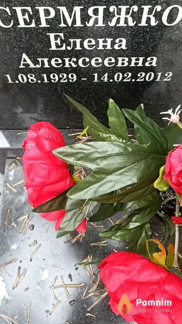 Сермяжко Елена Алексеевна