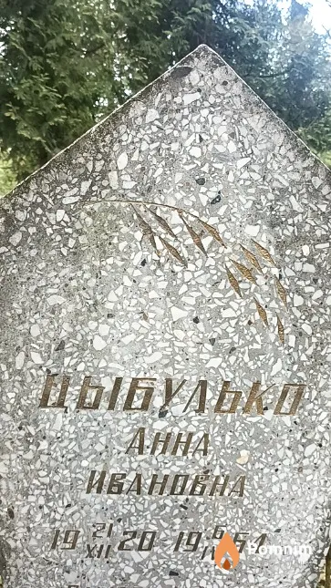 Цыбулько Анна Ивановна