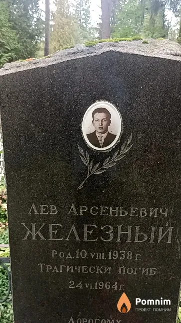 Железный Лев Арсеньевич