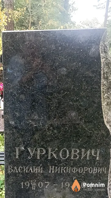 Гуркович Василий Никифорович