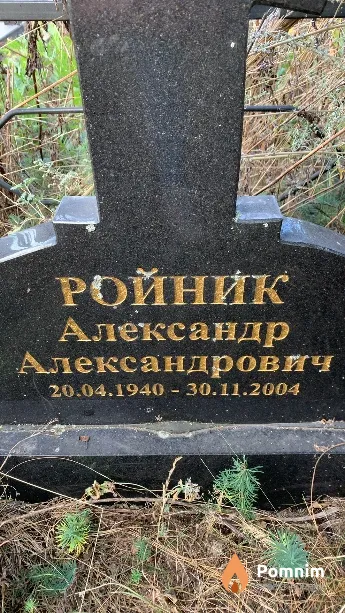 Ройник Александр Александрович