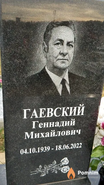 Гаевский Геннадий Михайлович