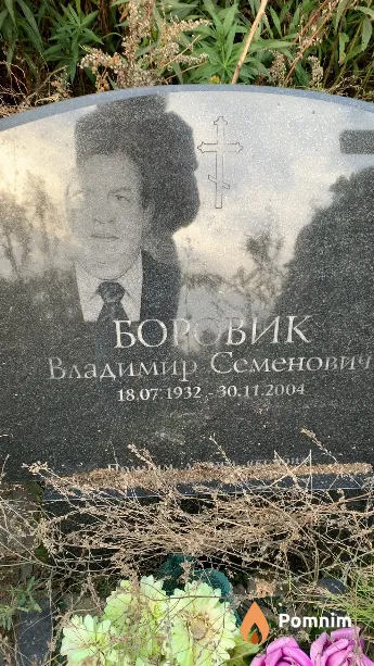 Боровик Владимир Семенович