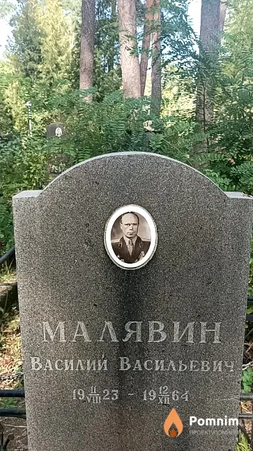 Малявин Василий Васильевич