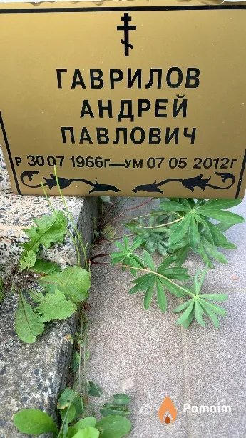 Гаврилов Андрей Павлович