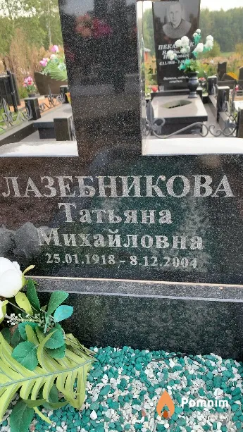 Лазебникова Татьяна Михайловна