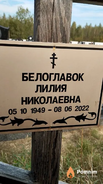 Белоглавок Лилия Николаевна