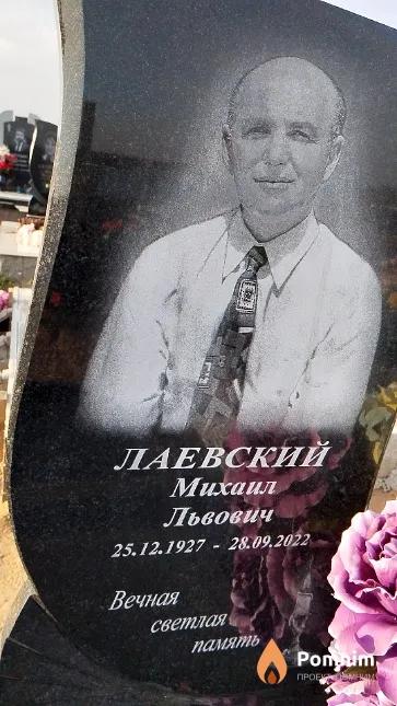 Лаевский Михаил Львович
