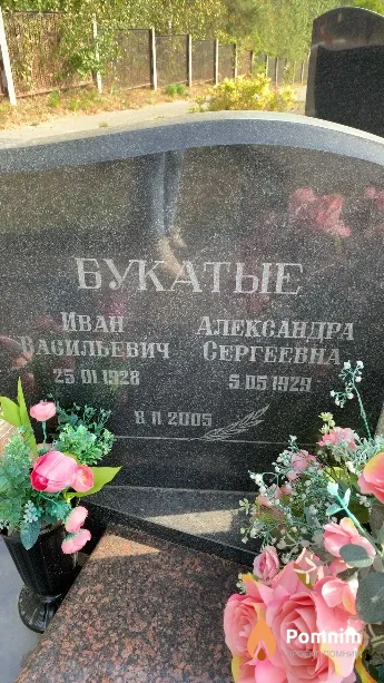 Букатая Александра Сергеевна