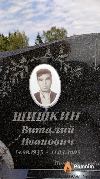 Шишкин Виталий Иванович