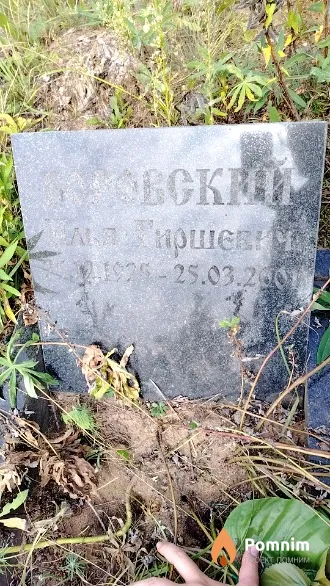 Боровский Илья Гиршевич