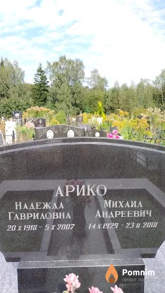 Арико Надежда Гавриловна