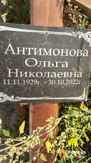 Антимонова Ольга Николаевна