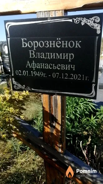 Борознёнок Владимир Афанасьевич