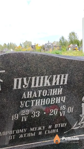 Пушкин Анатолий Устинович