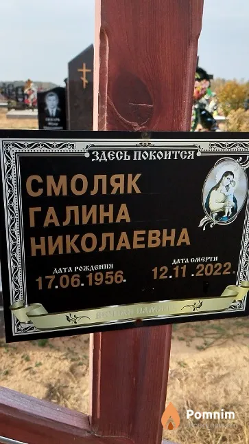 Смоляк Галина Николаевна