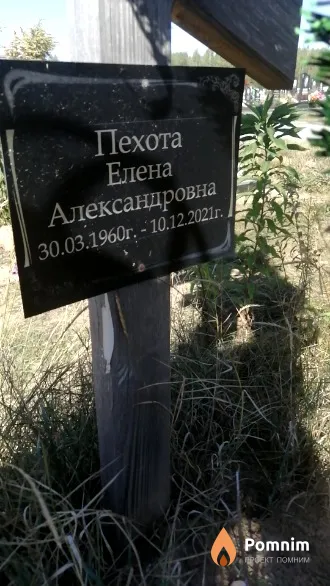 Пехота Елена Александровна