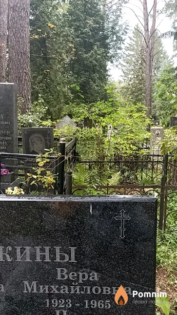 Галкина Вера Михайловна