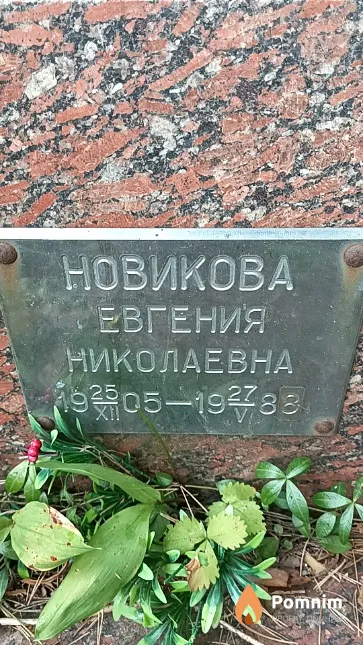 Новикова Евгения Николаевна