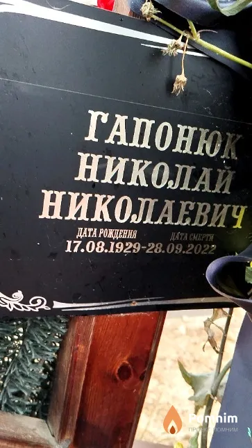 Гапонюк Николай Николаевич