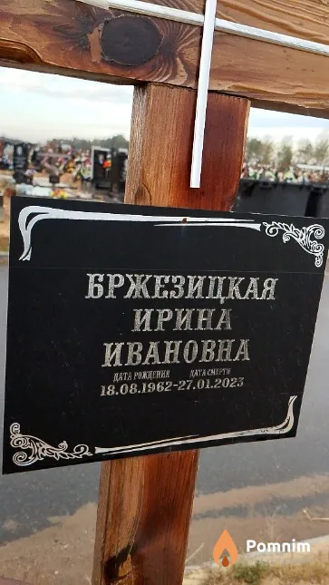 Бржезицкая Ирина Ивановна