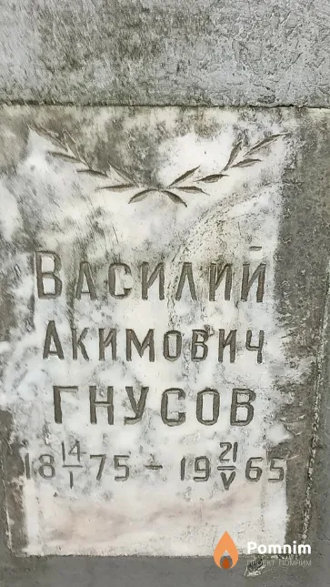 Гнусов Василий Акимович